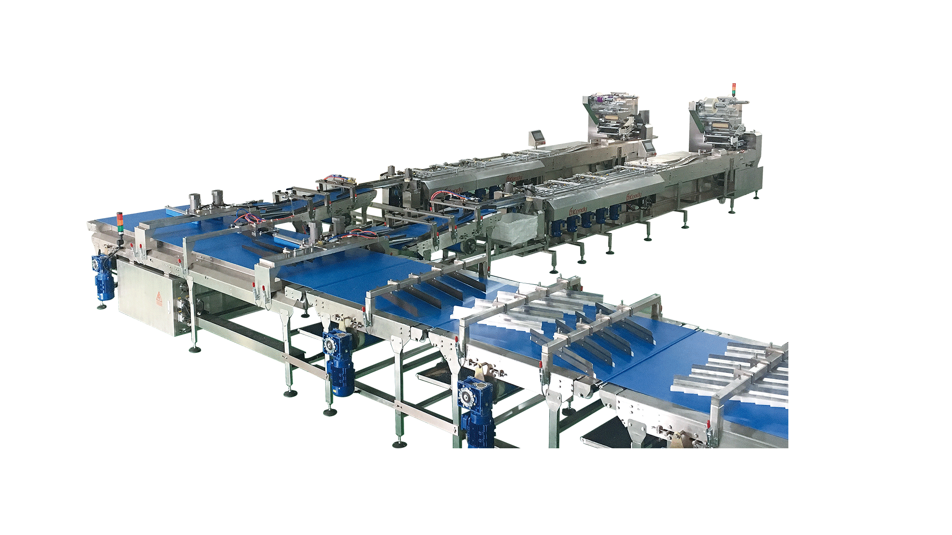 Double Line Feeding & Packing Line Online Sandwich